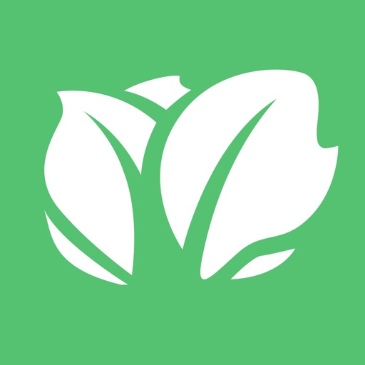 Small Business Loans - Kabbage