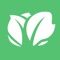 Kabbage gives small businesses quick access to working capital