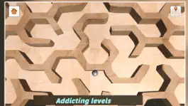 Game screenshot How To Escape Maze apk