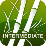 Download Human Japanese Intermediate app