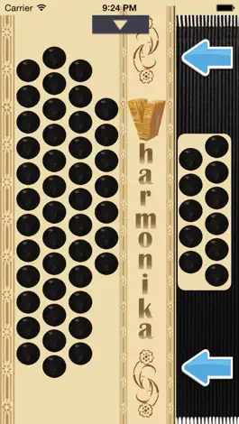 Game screenshot Vharmonika mod apk