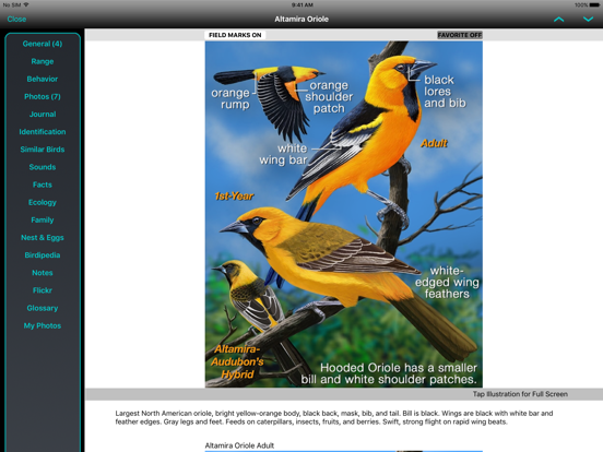 Screenshot #2 for iBird Yard+ Guide to Birds