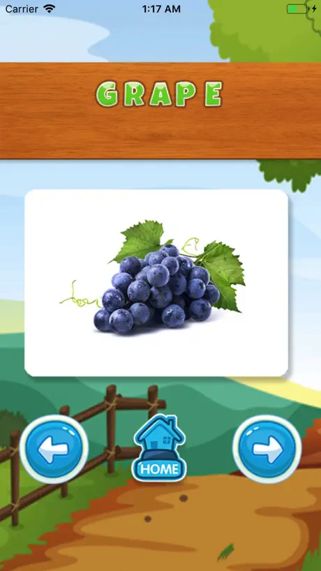 Fruit English Vocabulary Sound