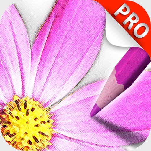 Sketch Agent Pro