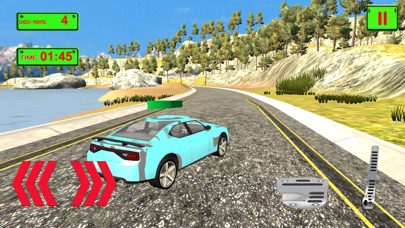 Highway Racing Car 3D screenshot 2