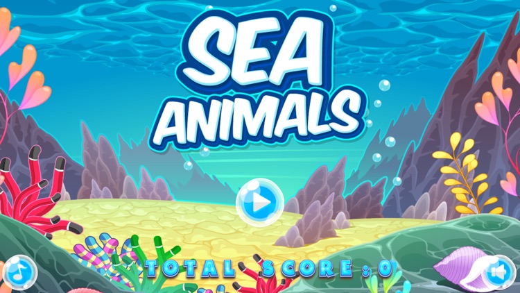 海洋动物配配看