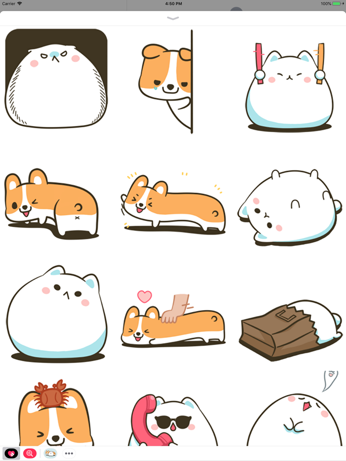 Dog and Cat Relationship