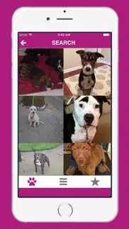 pets - find yours iPhone Captures Décran 1