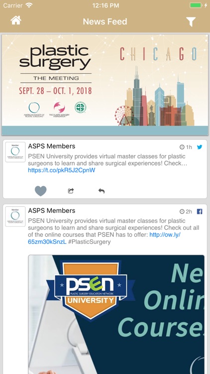 Plastic Surgery The Meeting 18