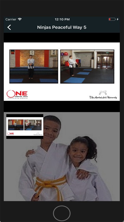 One Martial Arts Australia screenshot-5