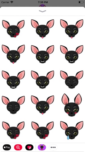 Animated Black Chihuahua(圖3)-速報App