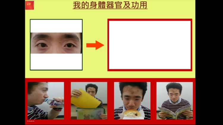 我的身體器官 screenshot-3