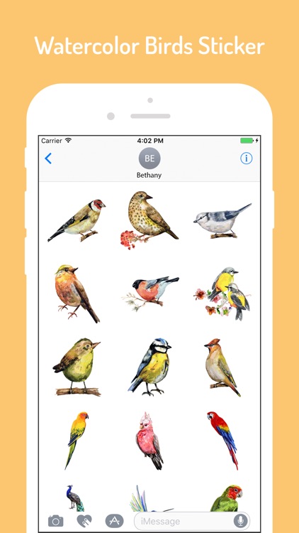 Watercolor Lovely Birds Sticke