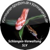 Schlangen-Verwaltung Nordhorn