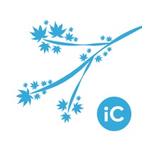 iC Brushes ABR Importer pour PC