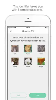 mushy: complete mushroom guide iphone screenshot 4