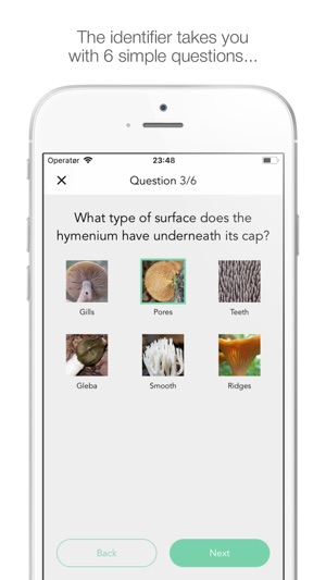 Mushy: Complete Mushroom Guide(圖4)-速報App