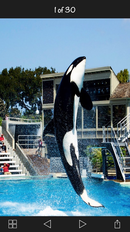 The SeaWorld San Diego screenshot-4