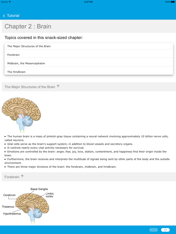 Learn Physiology &Body Anatomy iPad screenshot 4 - Medical app