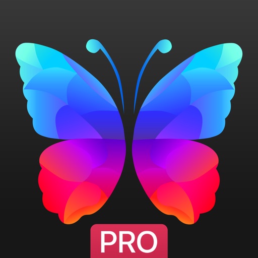 Everpix Pro - HD Wallpapers iOS App