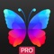 Everpix - high quality exclusive wallpapers, to personalize your device