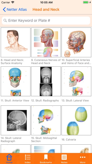 Netter's Anatomy Atla... screenshot1