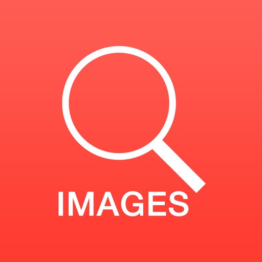 Image Search. iOS App