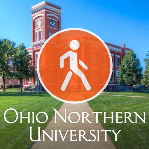 ONU Experience icon