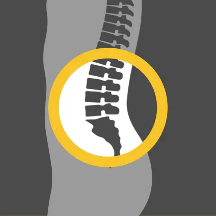 The Truth About Low Back Pain Читы