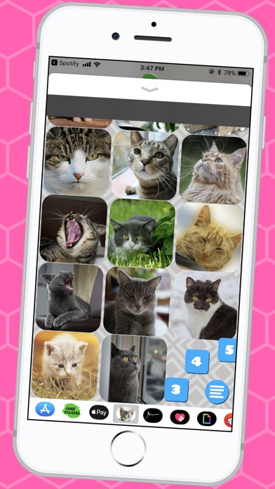 Lovable Cat Stickers screenshot 3