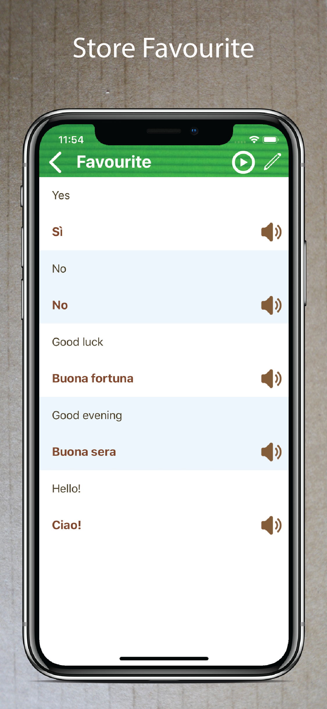 Learn Italian Phrasebook Pro + screenshot 4