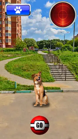 Game screenshot Pocket Dogs GO AR apk