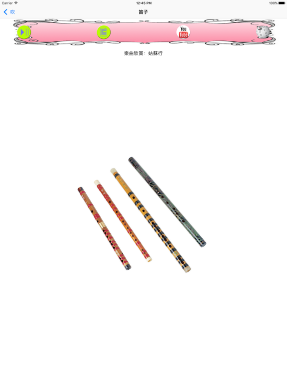 中國樂器 iPad screenshot 4 - Music app