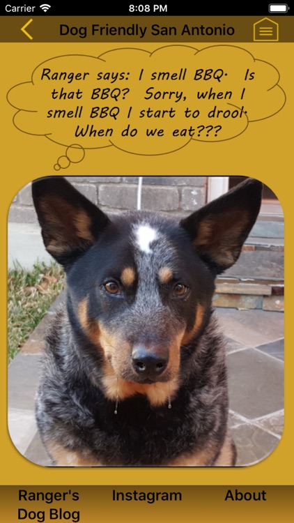 Dog Friendly San Antonio