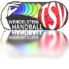 Handball Wendelstein