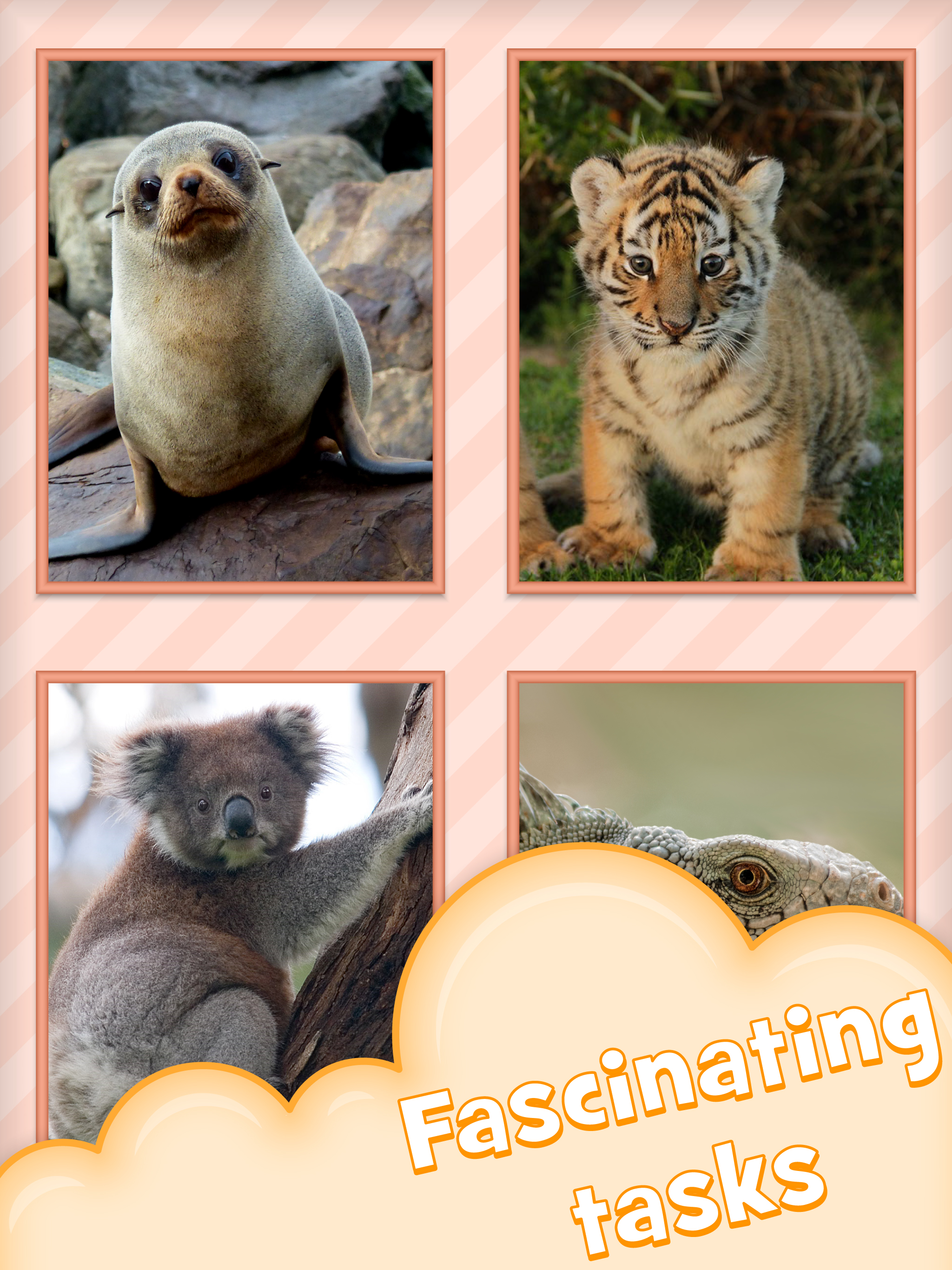 Funny animal: educational game screenshot 8