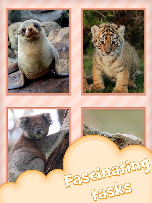Funny animal: educational game iPad screenshot