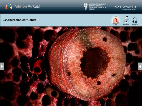 M2: Pulmón Virtual – EPOC screenshot 2