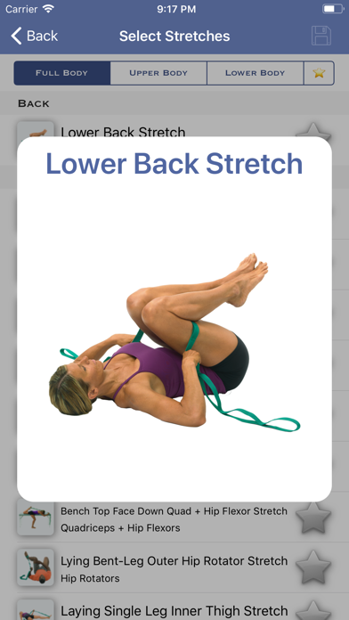 Screenshot #3 pour StretchApp 2