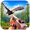 Bird Shooting Adventure