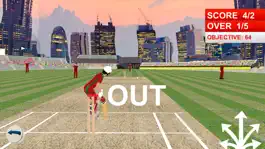 Game screenshot Super Cricket Championship hack