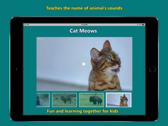 Screenshot #4 pour Names of Animal Sounds