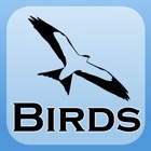 2000 Bird Species with Guides