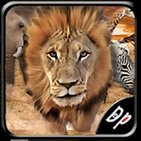Savanna Race pour PC