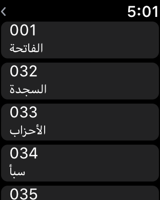 عبد الباسط عبد الصمد القرآن screenshot 14