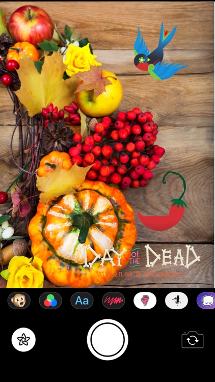 Day of the Dead Stickers Pro screenshot-4