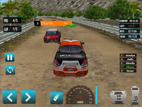 Mexico Rally Racing iPad screenshot