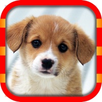 PixSlide - Puzzle sur PC