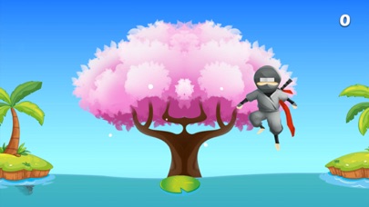 Flight Ninja screenshot 2