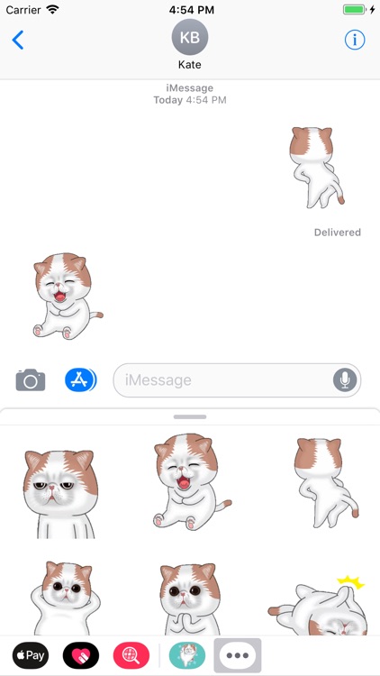 Hyper Cat Animated Stickers